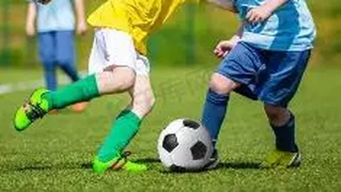 藏织传奇：牛羊毛编织技艺的经纬世界